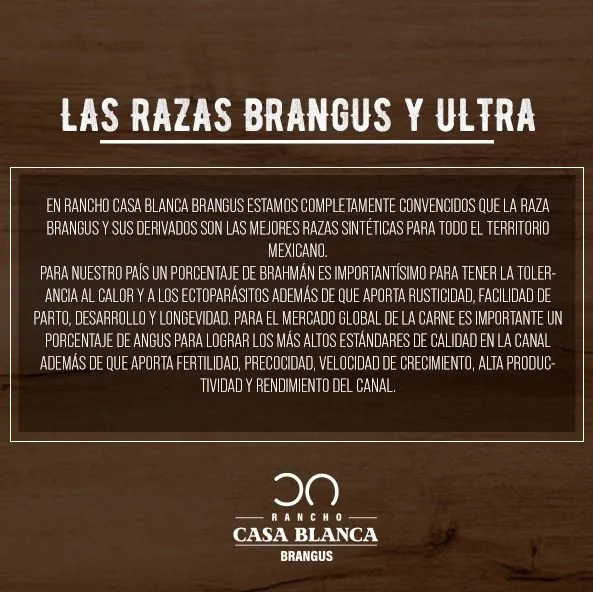 Variedades de Razas 1